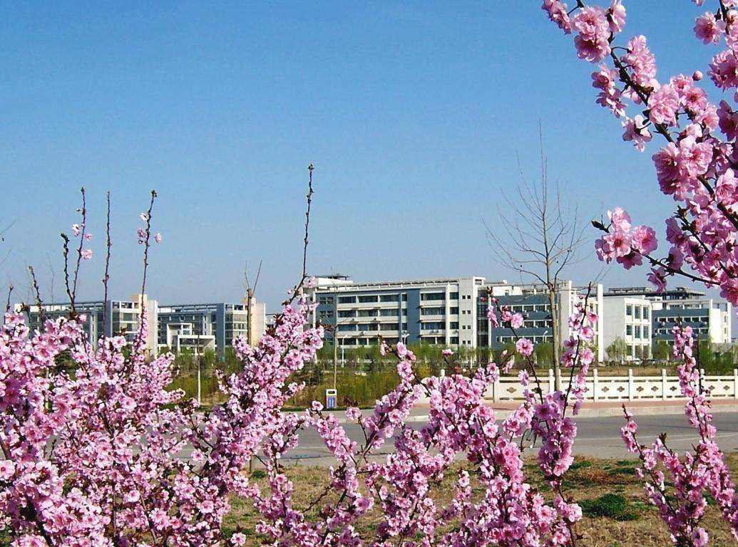 2020年山东本院校的_向奋斗者致敬——2020山东教育年度盛典最具影响力(2)