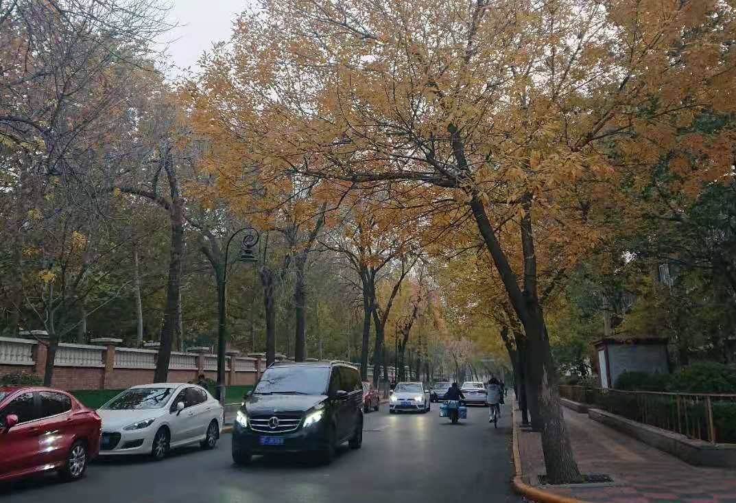 2020年景泰县gdp_2020-2021跨年图片