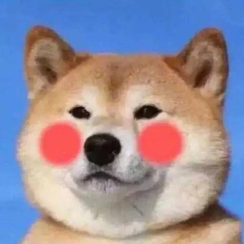 老外说你是"old dog"什么意思?可不是骂人!