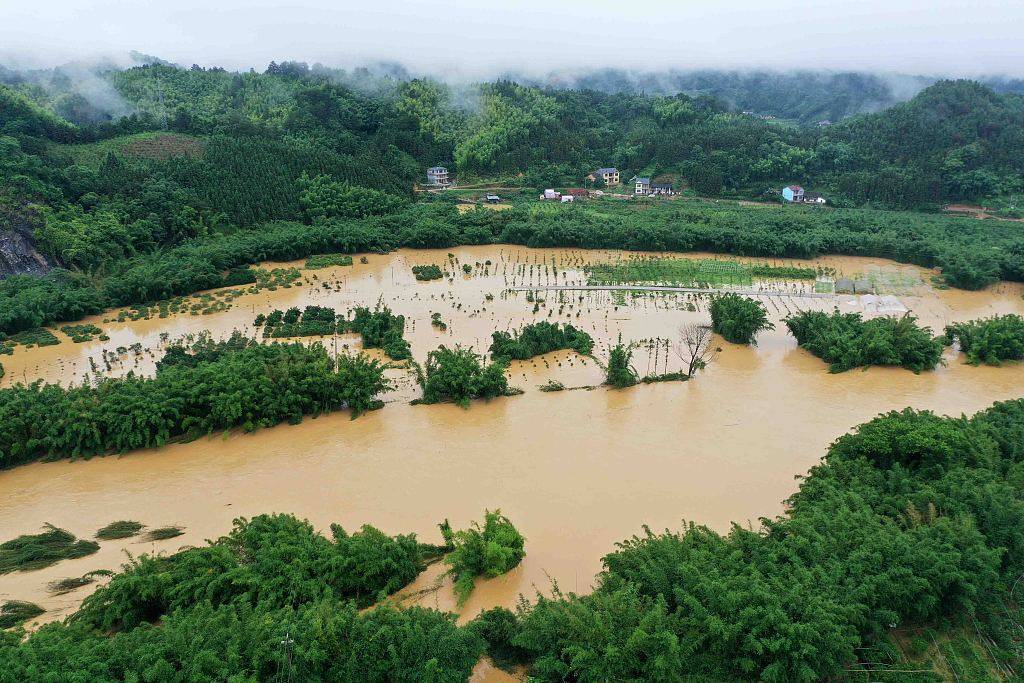 2020年6月10日,广西柳州市融安县大将镇,被洪水淹没的果园.