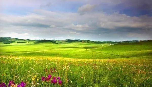 中国最美的100个草原,你去过几个?