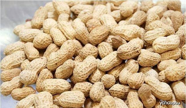 坚果类零食健康吃法 84381db4e0244c1d91036f01f2005476.jpeg