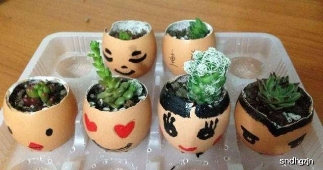 可以用什么做花肥 00819bc133bc4de5bfcbbfc794a8c8e8.jpeg