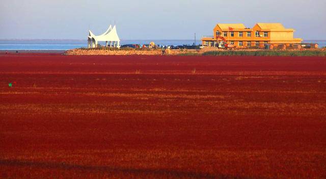 2020年一季度辽宁省g_1984年辽宁省中学