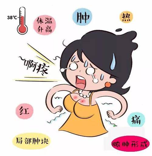 夏季乳腺炎高发|宝妈们不要慌,做好五个细节让你远离疾病烦恼!