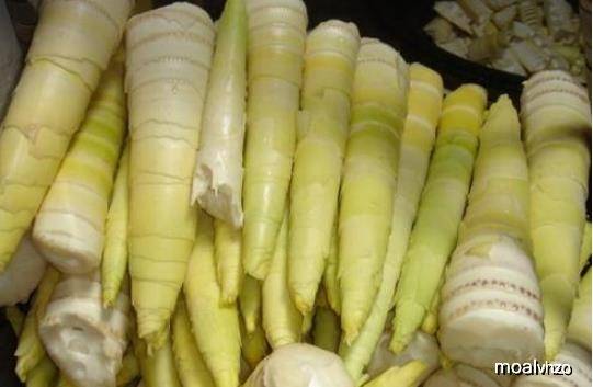 笋是不是粗纤维食物 a839d6876b084f588d3241892e720c74.jpeg