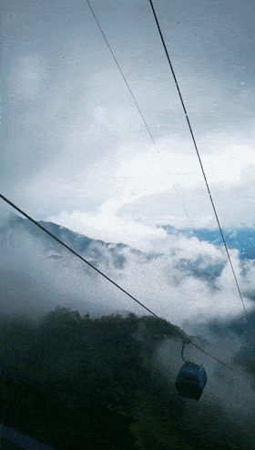 280_494 竖版 竖屏