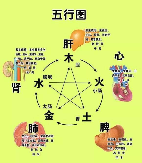 古中医"五行脏腑辨证(收藏版)