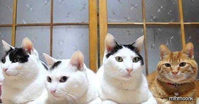 39c7f9fa5eed4276a1f0cf6f58596ec2.jpeg