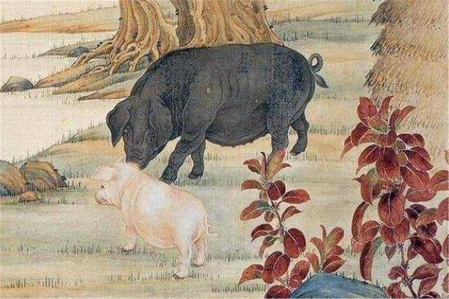 "六畜"中谁最先被驯化?从一只猪的驯化过程,窥探古代人的生活
