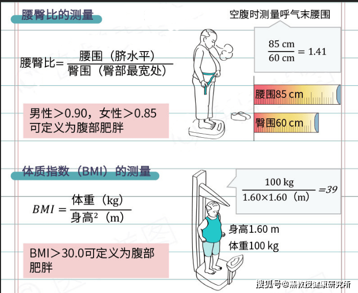 1kg脂肪=7800卡路里?_内脏