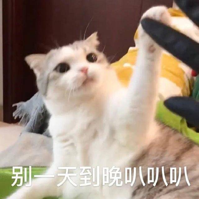 3e0a888cffb74311b3559091f99fe011.jpeg