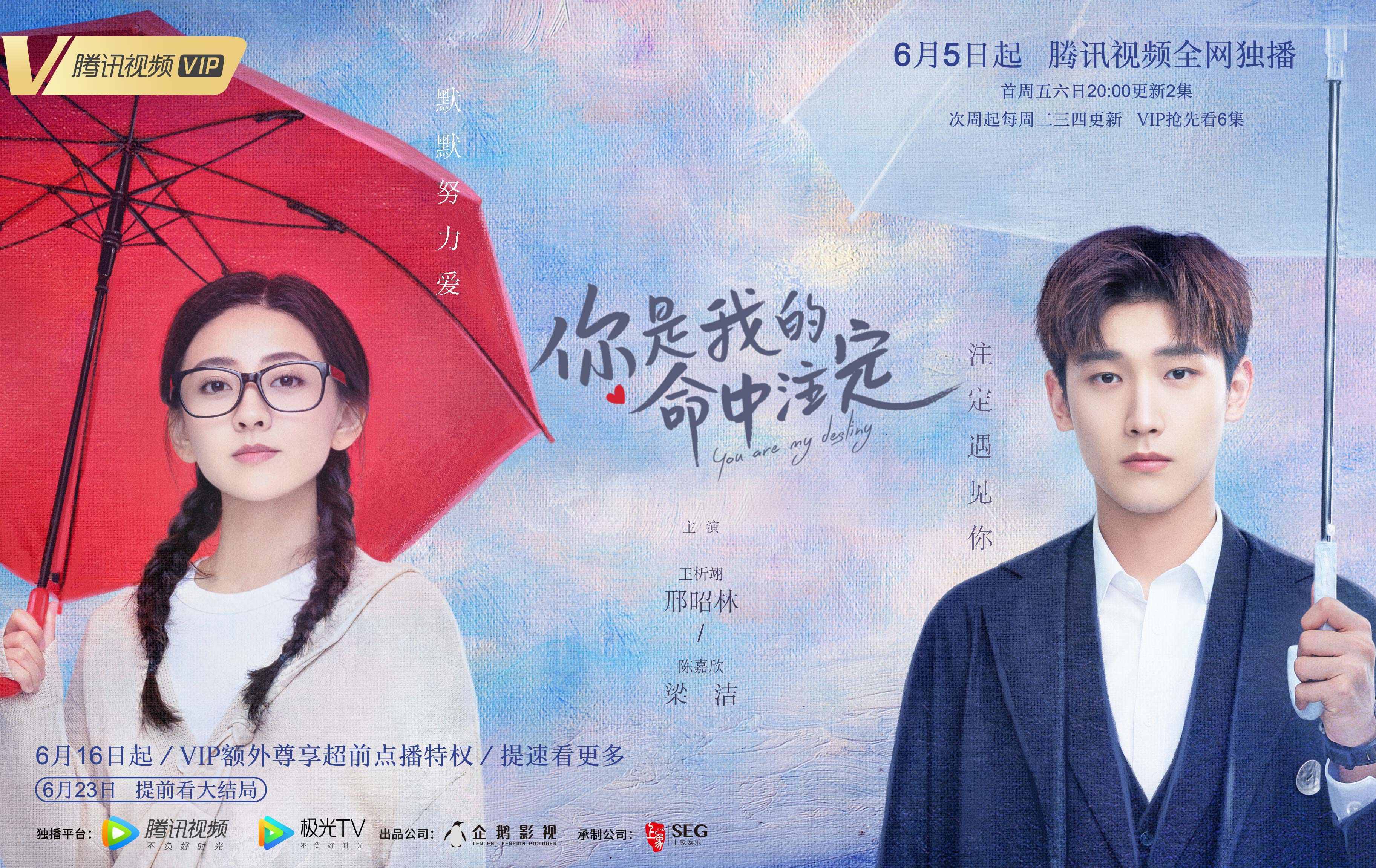 《你是我的命中注定手机在线》免费完整播放(全1-36集