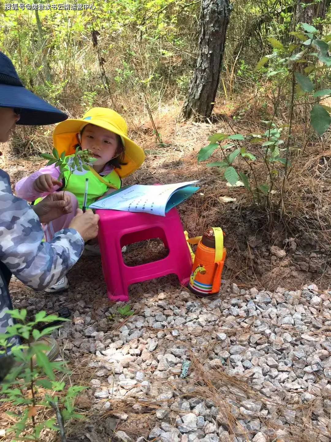 亲子旅行研学丨森林课堂华丽升级：大自然中的小小探索家招募开始啦！