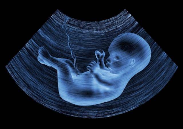 婴幼儿|由宝宝这个部位发育决定宝宝的出生时间