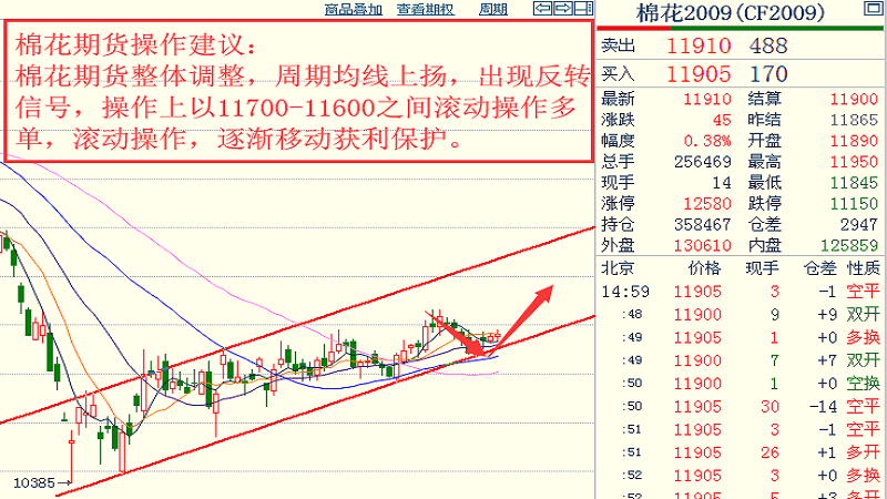 日本2020年人口减少数_2020年日本耽美动画(3)