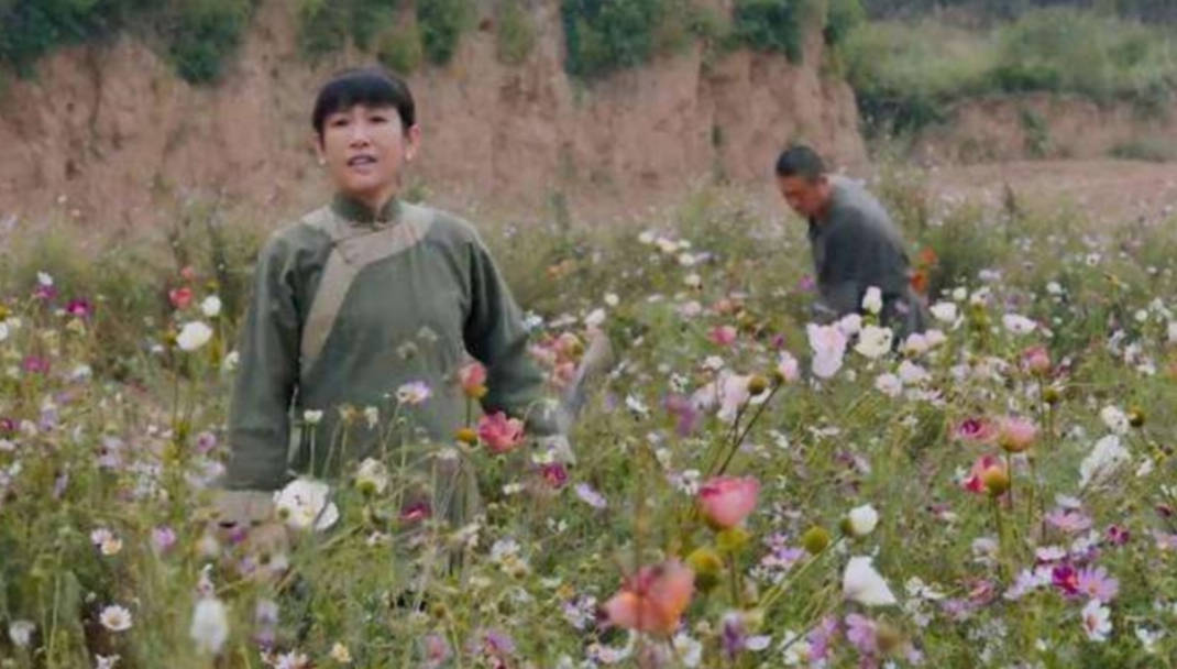 《白鹿原:十亩罂粟种三年,白家靠此翻了身,朱先生奉命除恶果_白嘉轩