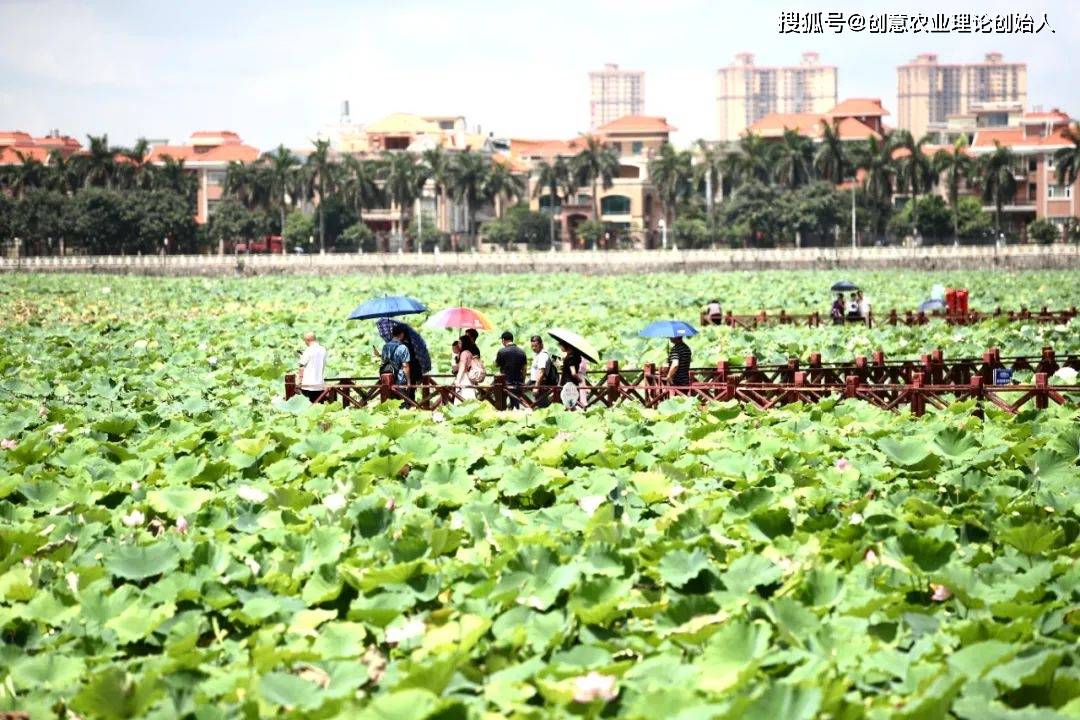 莲花三板桥有多少人口_连州三板桥规划图(3)