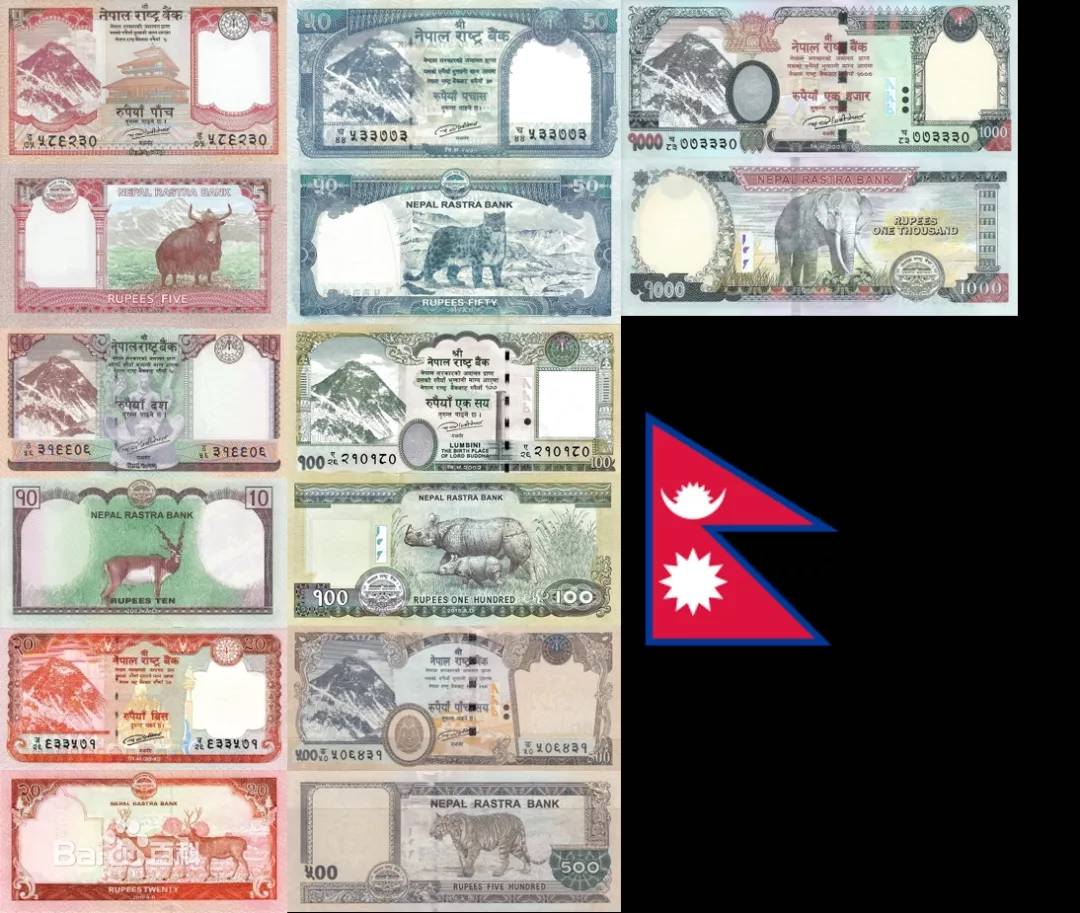 深汇外币鉴|很自豪 尼泊尔卢比中国造
