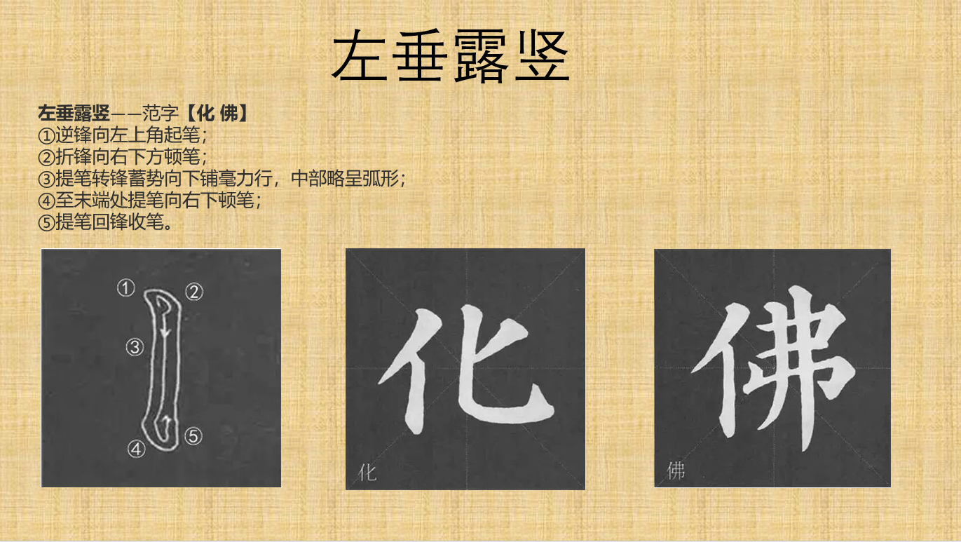 竖版文字排版抖音AE字幕模版_AE模板下载(编号:3477224)_AE模板_VJ师网 www.vjshi.com