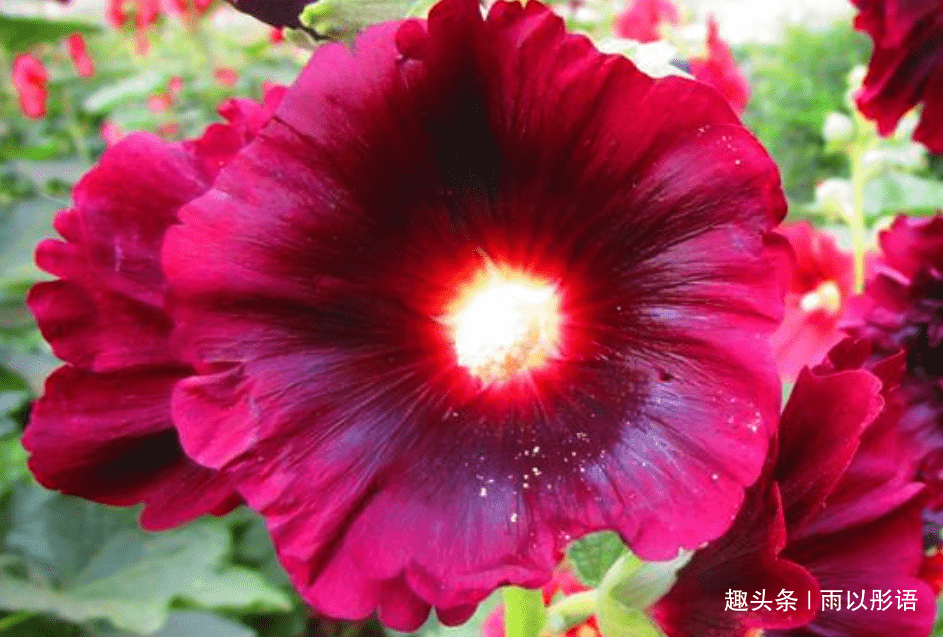 9c9addb57a5a49dfb1bb0e469f5fed6e.png