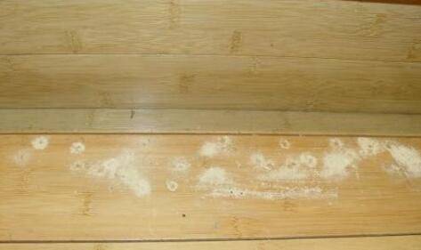 木板里有蛀虫在咬怎么办如何去除床板里的蛀虫
