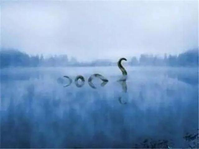 813c4cf1175e470b8c99ca9007848e79.jpeg