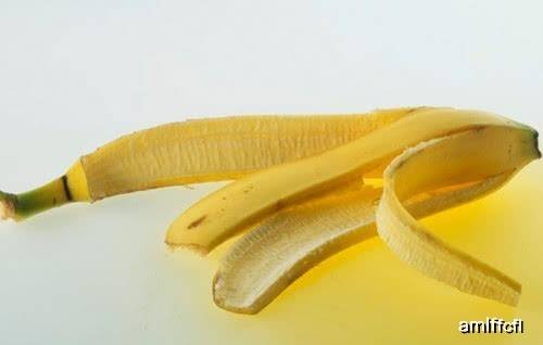 92a5f80646544eee9e2e53c38764a2e7.jpeg