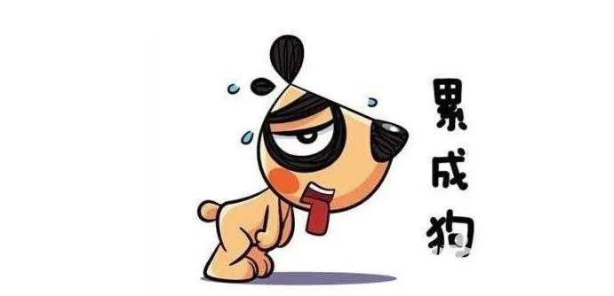 a733bc5b37eb4070b3876932a22c5dac.jpeg