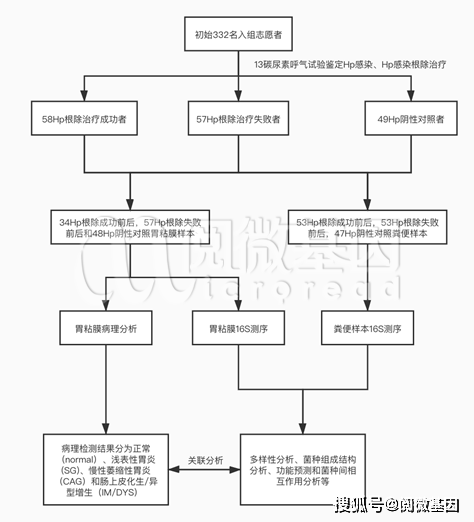 只用16s测序就把胃肠道疾病关系文章发表在了《gut》杂志上,怎么做到