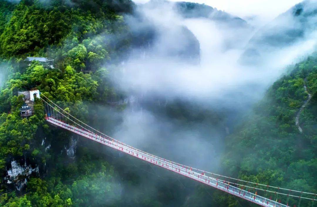 这座壮观的玻璃悬浮桥,全长268米,桥面离河谷高约200米,是 鄂西南最长