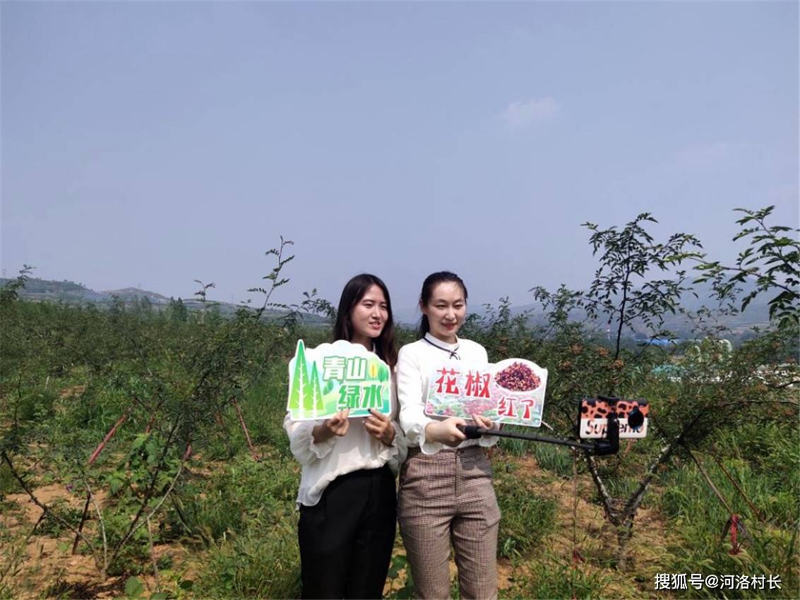 原创洛阳理工学院教育科学与音乐学院辅导员带货直播精准帮扶贫困学生