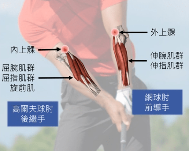 4f0b5d316a194c6a8d929df09c015682.png