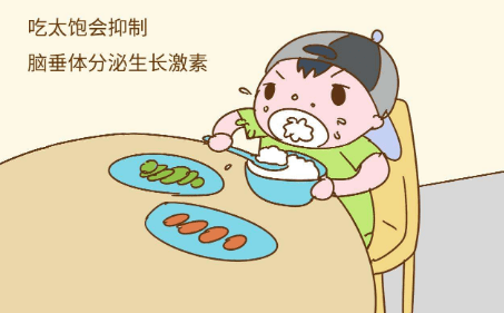 关键|把握3个关键阶段，避开5个误区孩子长高