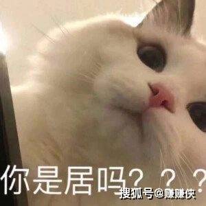 9dd03ae53a19453b96c0efb532c64585.jpeg