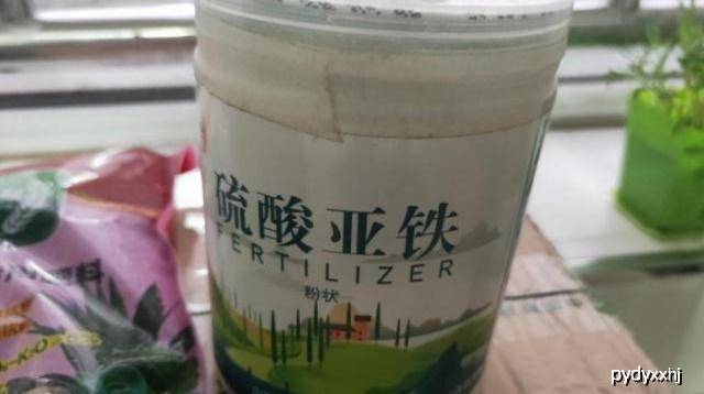 自己怎样做硫酸亚铁溶液 dc5d7fa7d13f496381b8ab61c417b74a.jpeg