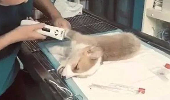 手提袋被丢在街头,上面还盖了张毯子,女子掀