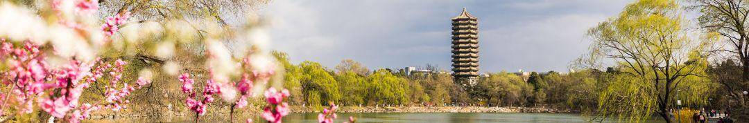 二战|2021年考研：考研二战和工作该如何选择