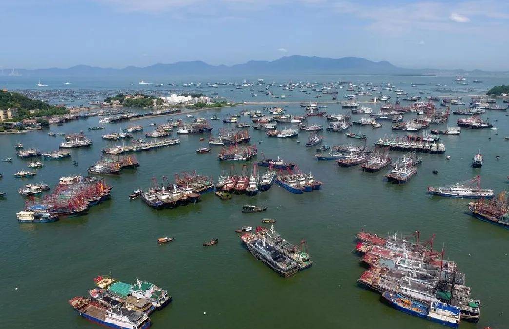 海钓展免费参展---2020中国南海(阳江)渔业海钓装备展