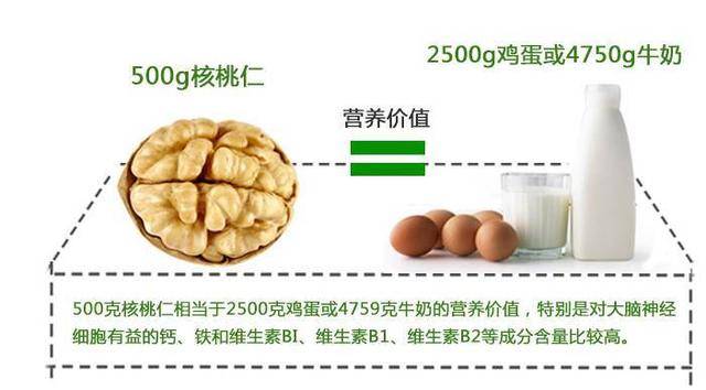 养元六个核桃2020年GDP_真材实料品质为先 六个核桃 植物蛋白饮料行业的 iPhone 7(2)