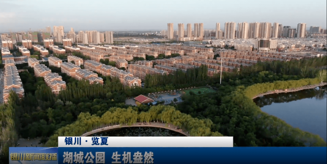 览夏 丽景湖公园:我不是银川最有名的湖,但城东的人都爱我