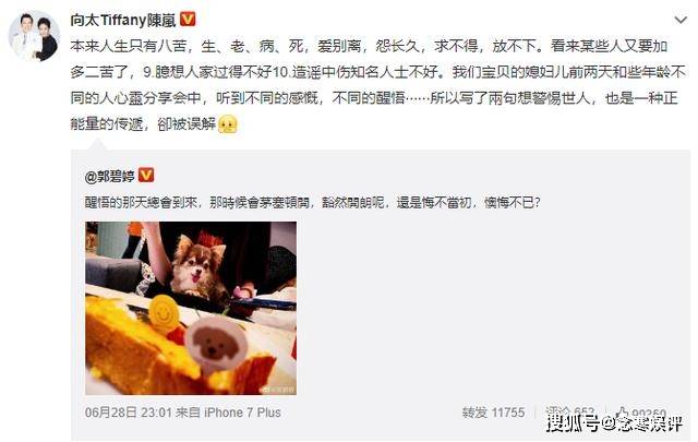 『向太』向太发文解释原因,参加心灵分享会所致,郭碧婷疑患上孕期焦虑症