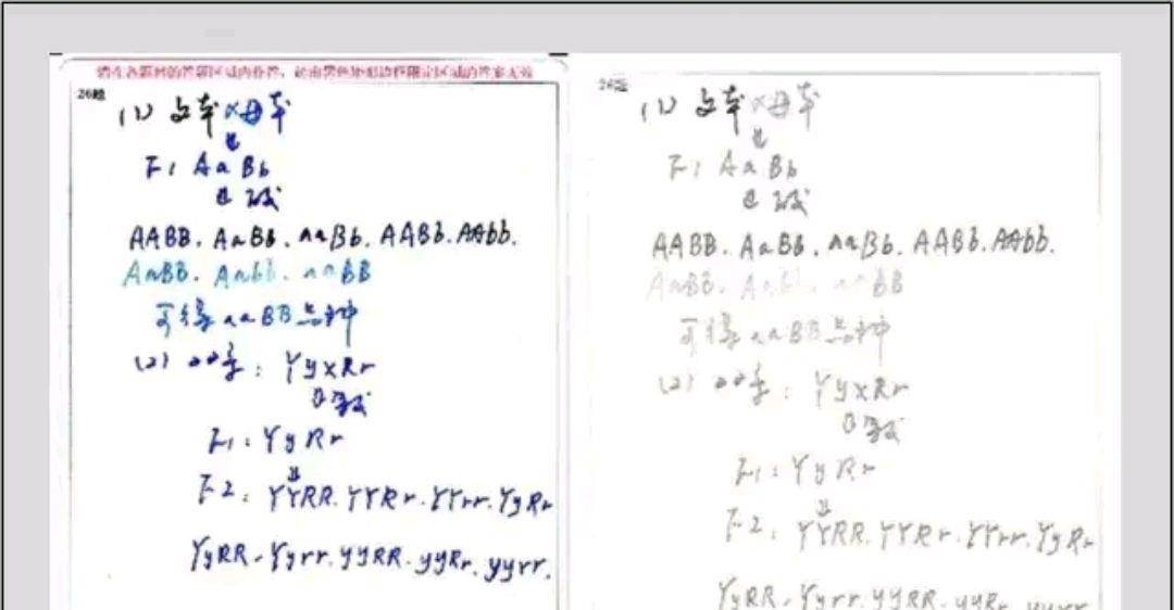 还有6天就要高考！电脑阅卷系统如何规范答题，让学生多考20分？