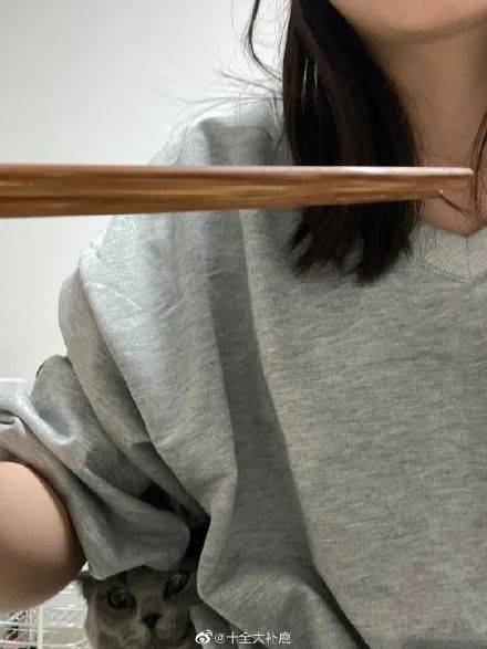 东西|吃饭成了我最困难的问题养了猫之后