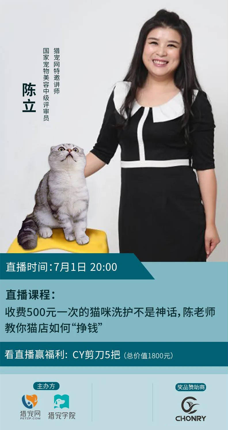 宠物|猫咪洗护到底赚不赚钱?-猎宠学院