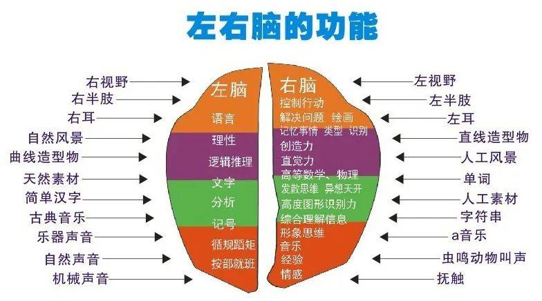 注意力训练图高清 38b51a57662b455d8fa9aca4234df45e.jpeg