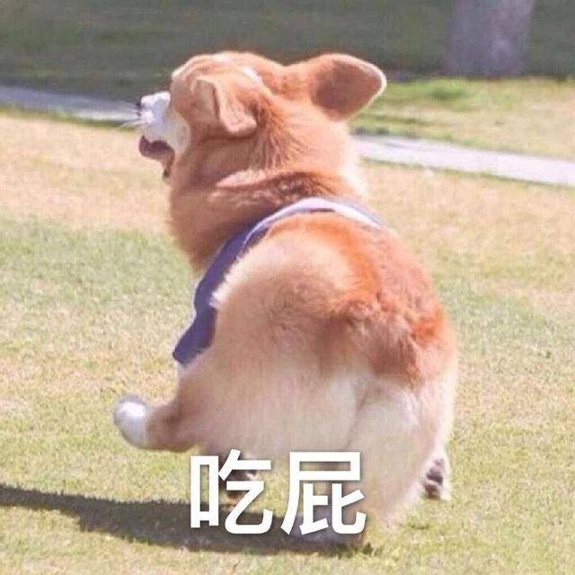 搞笑gif趣图:碰到这样的男人,真是够倒霉的