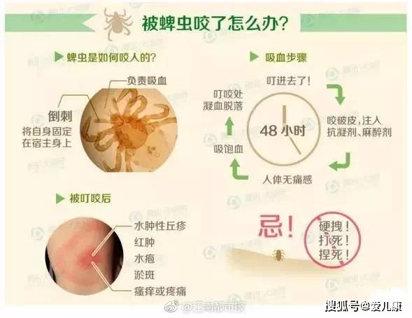 脖子|3岁女宝脖子多个小黑点！家长仔细一瞅，魂都吓掉了……油菜花里转一圈