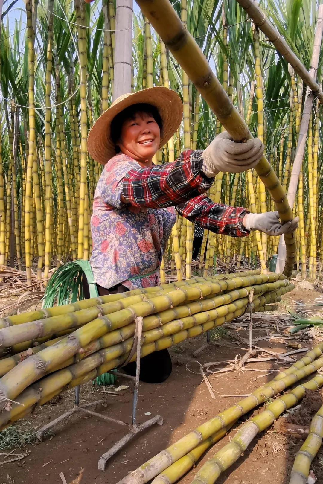 美图|“中航盈富杯”中国证券界精准扶贫摄影大展作品欣赏（二）