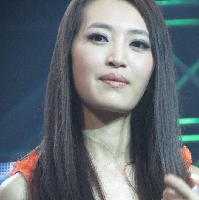 2009年参加《快乐女声》获得全国60强,之后分别在2012年,2011年出专辑